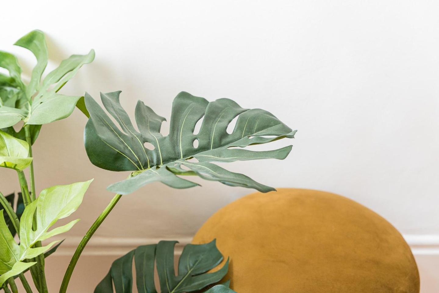 Appartamento Guestready - Alegria Building OOporto Esterno foto